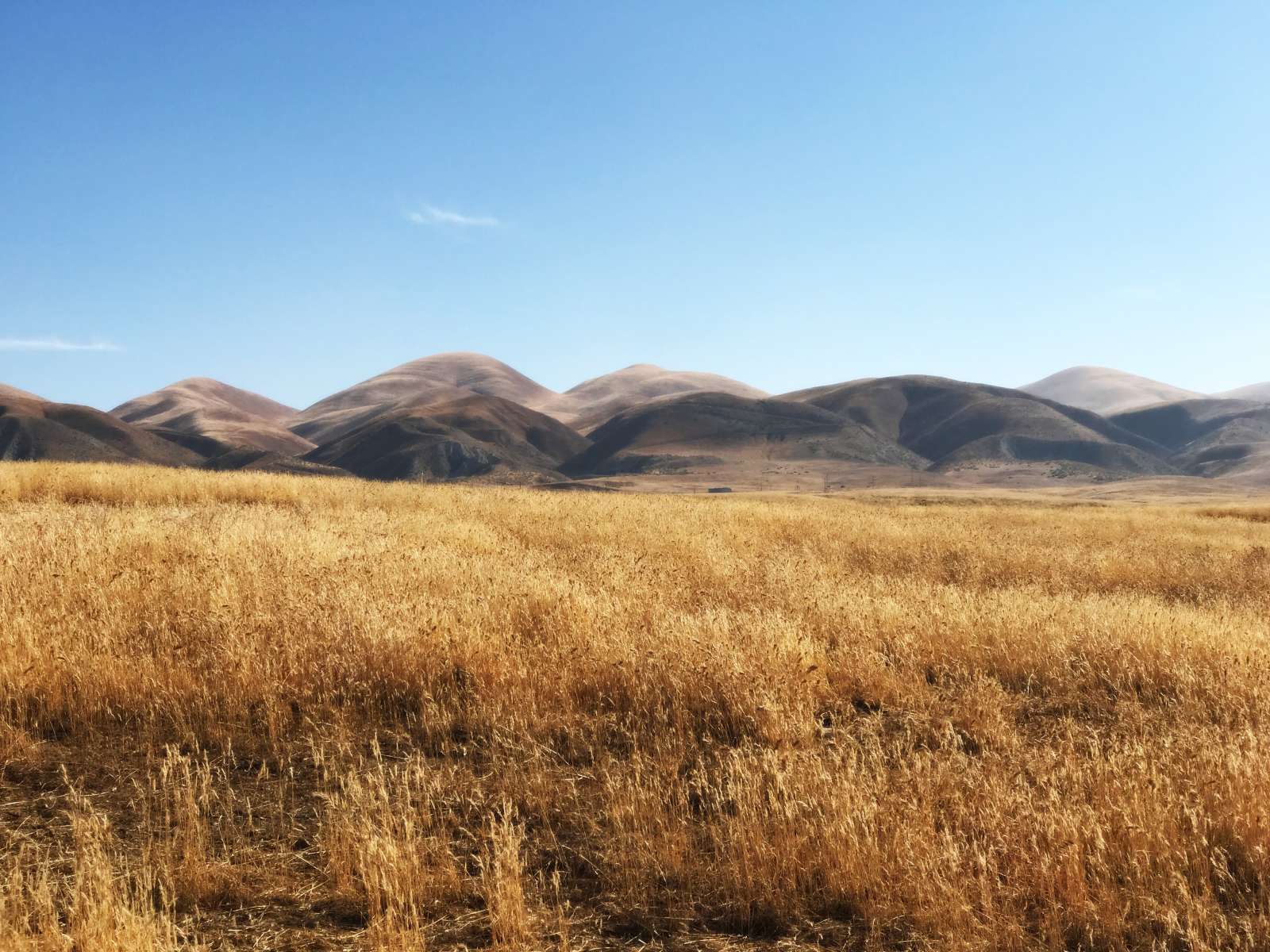 Secluded Carrizo Plains Campsite - glamping.directory