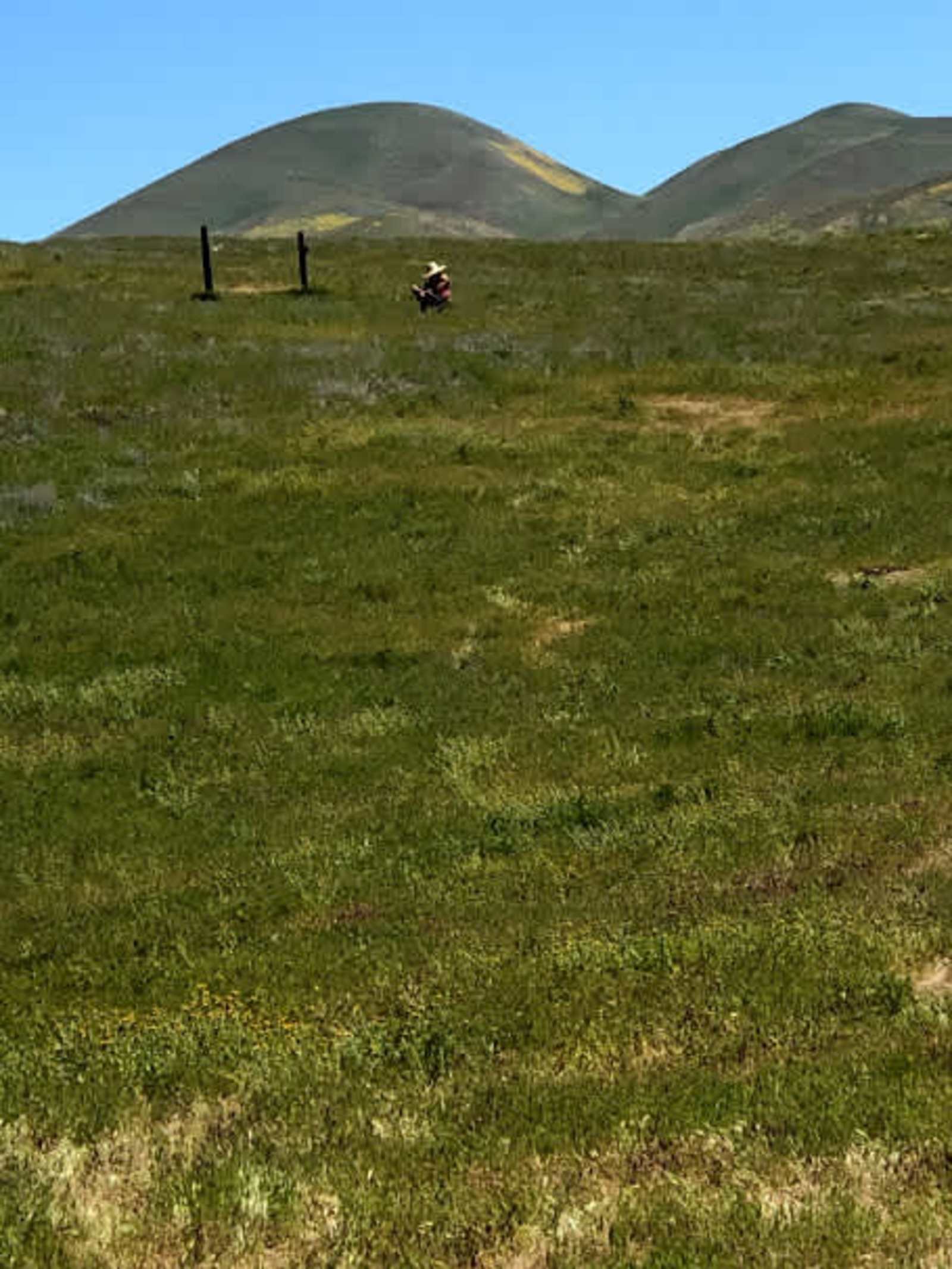 Secluded Carrizo Plains Campsite - Mc Kittrick, California - glamping.directory