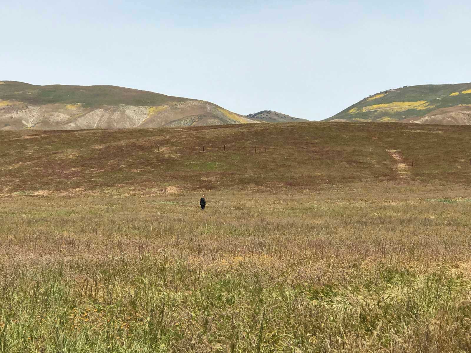 Secluded Carrizo Plains Campsite - Mc Kittrick, California - glamping.directory