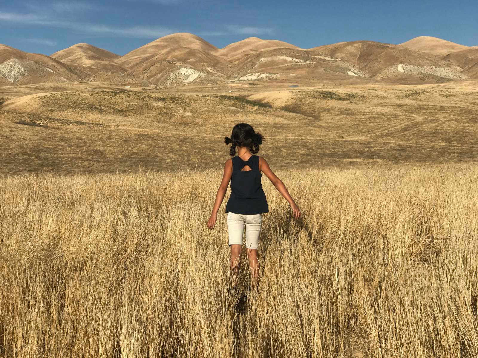 Secluded Carrizo Plains Campsite - Mc Kittrick, California - glamping.directory