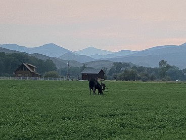 Rustic Silo Cabin with Riverfront Fishing Access near Big Hole River, Montana - Melrose, Montana - glamping.directory