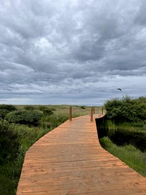 Copalis Beach Tiny Home for Olympic Forest Glamping! - Copalis Beach, Washington - glamping.directory