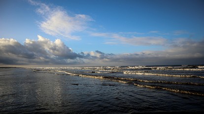 Copalis Beach Tiny Home for Olympic Forest Glamping! - Copalis Beach, Washington - glamping.directory
