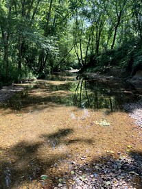 Charming Creekside Luxury Tent with Sunset Views near Goodwin Creek, Mississippi - Batesville, Mississippi - glamping.directory