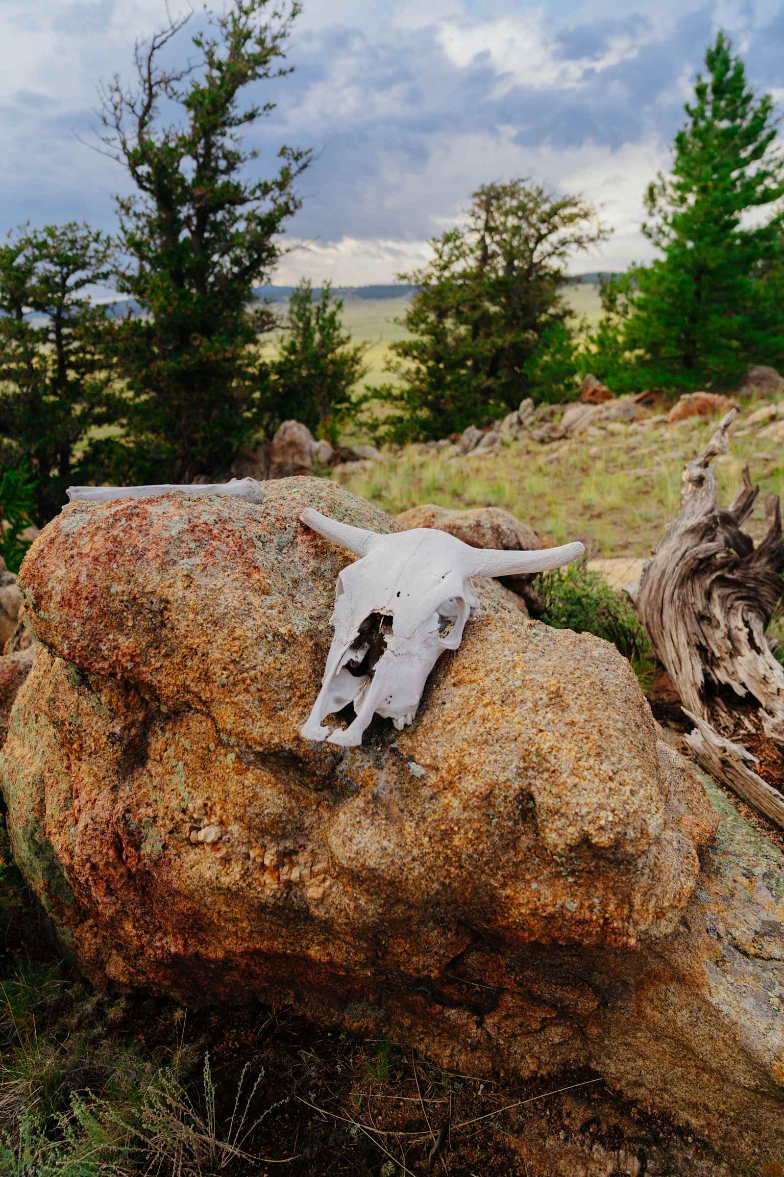 High Plains Hideaway - Hartsel, Colorado - glamping.directory