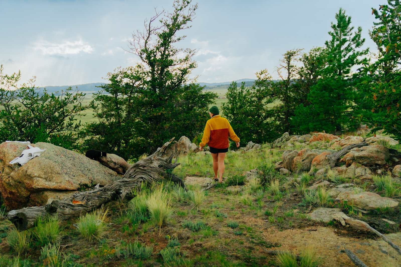 High Plains Hideaway - Hartsel, Colorado - glamping.directory
