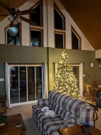 Breathtaking Cabin Nestled Amidst Trees in Webb, New York - Webb, New York - glamping.directory