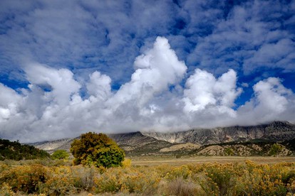 Luxury Safari Tents for Groups Only on Ranch near DeBeque, Colorado - De Beque, Colorado - glamping.directory