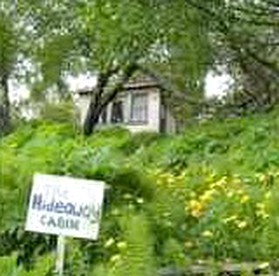Secluded Cabin Rental near Halibut Cove in Homer, Alaska - glamping.directory