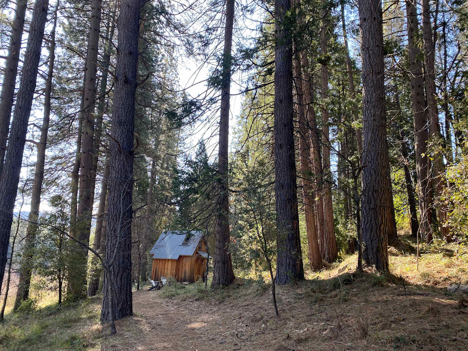 Honeycomb Hut - glamping.directory