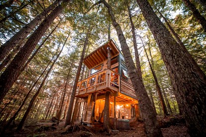 Cozy Treehouse with Sauna in Hardwick, VT - glamping.directory