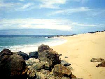 Secluded Cottage Rental for Four Guests on Lanai Island in Hawaii - Lanai City, Hawaii - glamping.directory