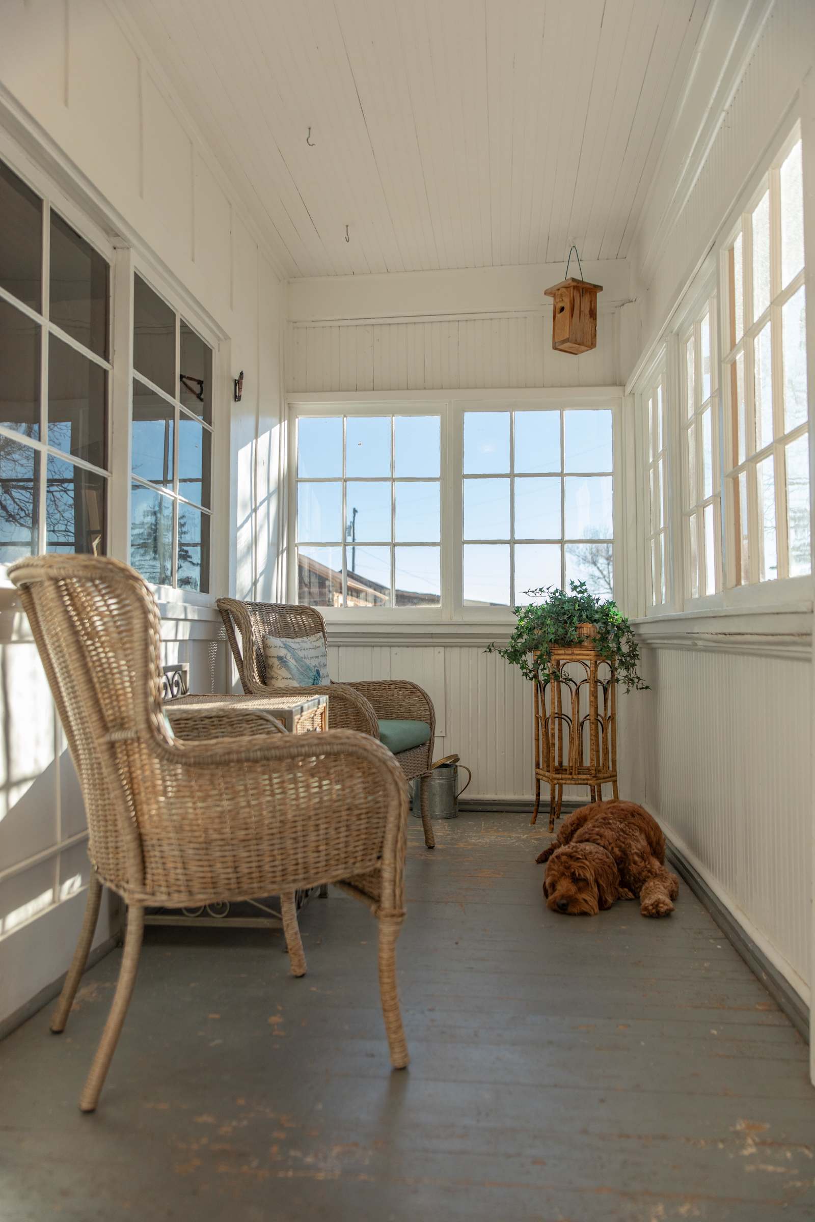 Little Buffalo Cabin - Hartsel, Colorado - glamping.directory