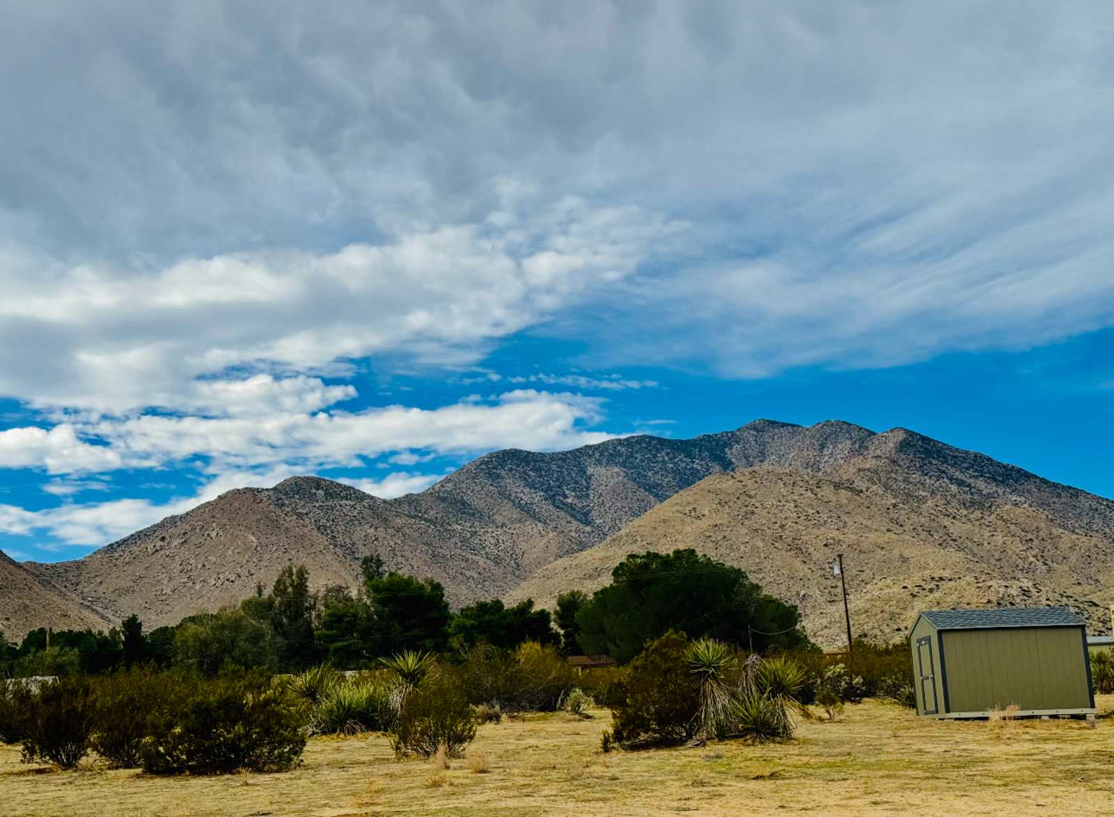 Coyote Moon Camping - glamping.directory