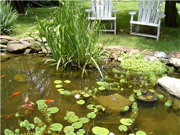 Cozy Bed and Breakfast Suite near Smith Mountain Lake in Bedford, Virginia - Bedford, Virginia - glamping.directory