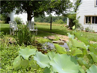 Cozy Bed and Breakfast Suite near Smith Mountain Lake in Bedford, Virginia - Bedford, Virginia - glamping.directory