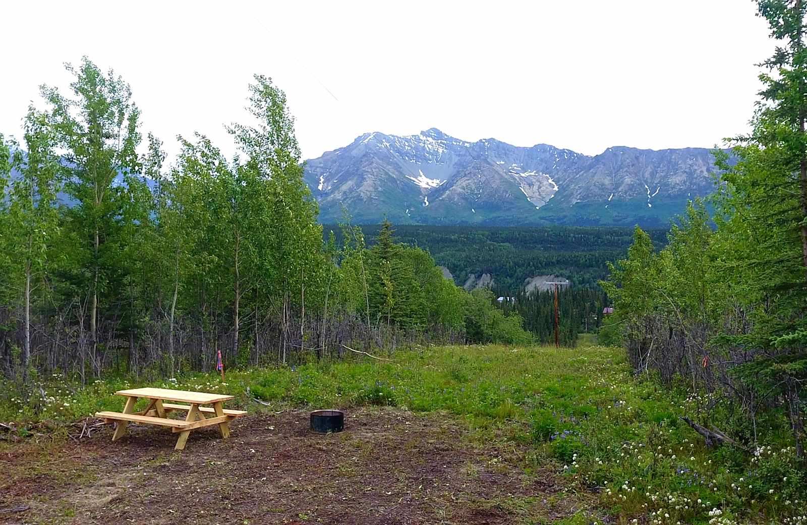 Pinochle Trail Campground - Chickaloon, Alaska - glamping.directory