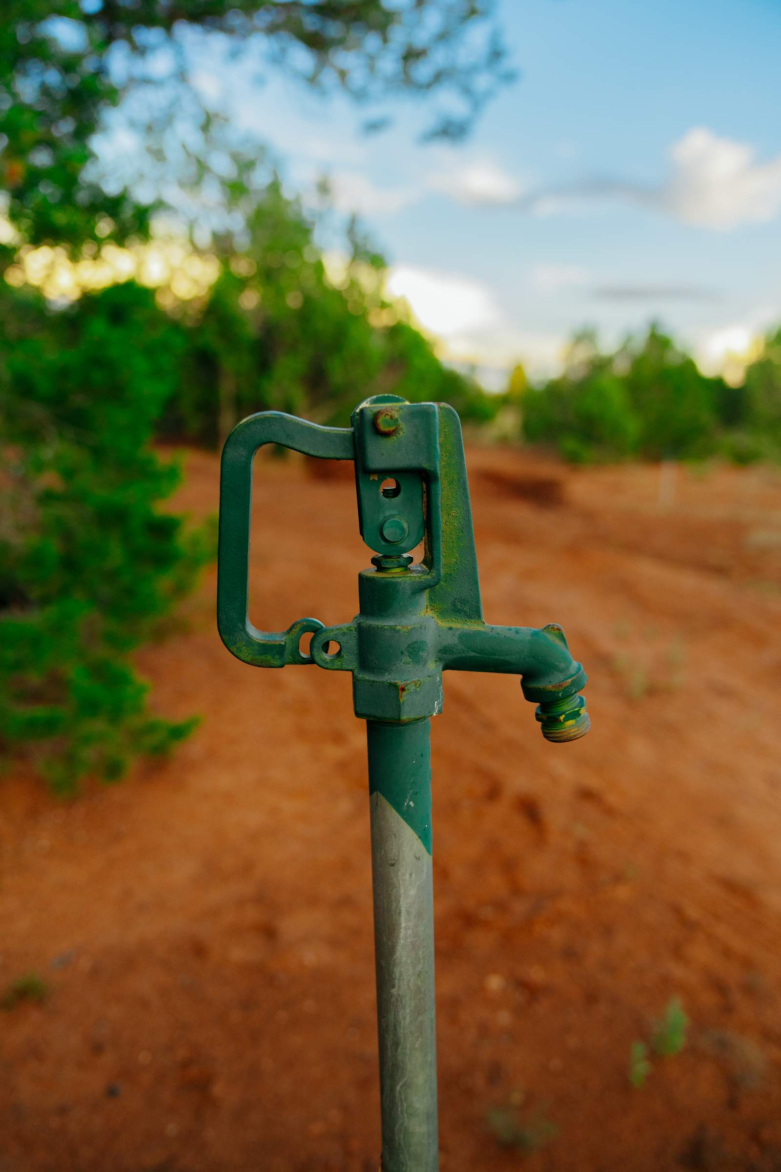 MOUNTAIN DESTINY! - Show Low, Arizona - glamping.directory