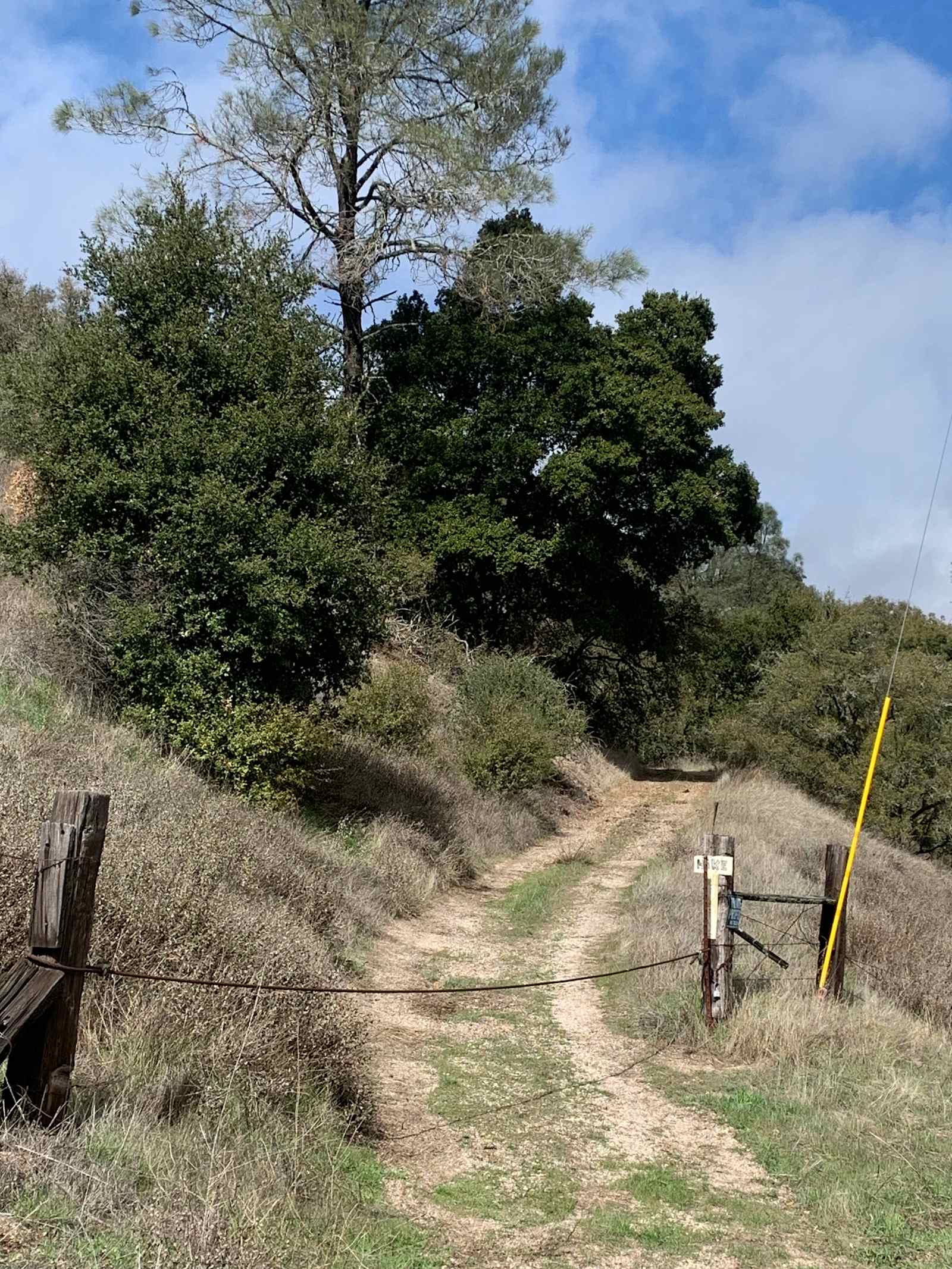 OUR HAPPY PLACE - Lockwood, California - glamping.directory