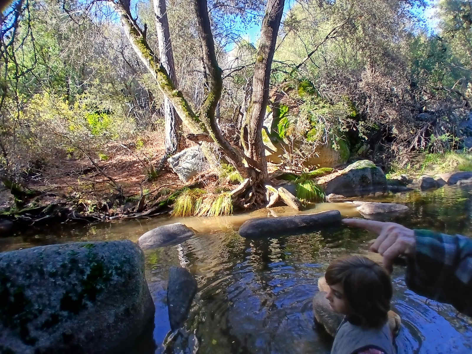 Mountain Farm - Badger, California - glamping.directory