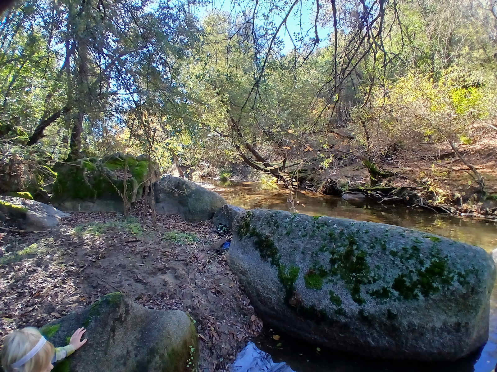 Mountain Farm - Badger, California - glamping.directory