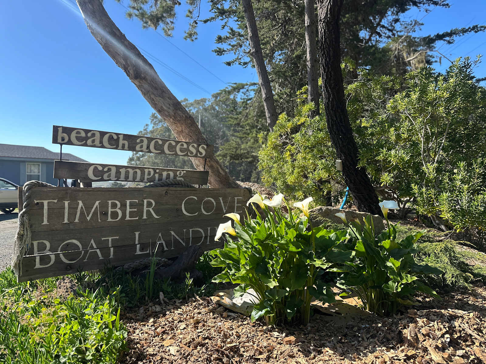Timber Cove Campground - glamping.directory