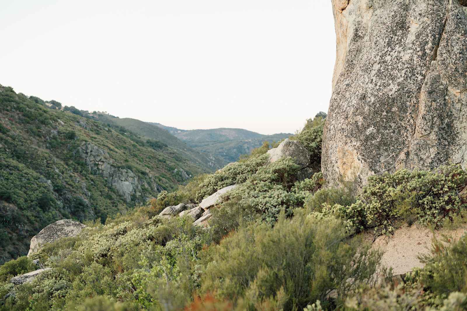 Manzanita Hill Woodland Camping - Julian, California - glamping.directory