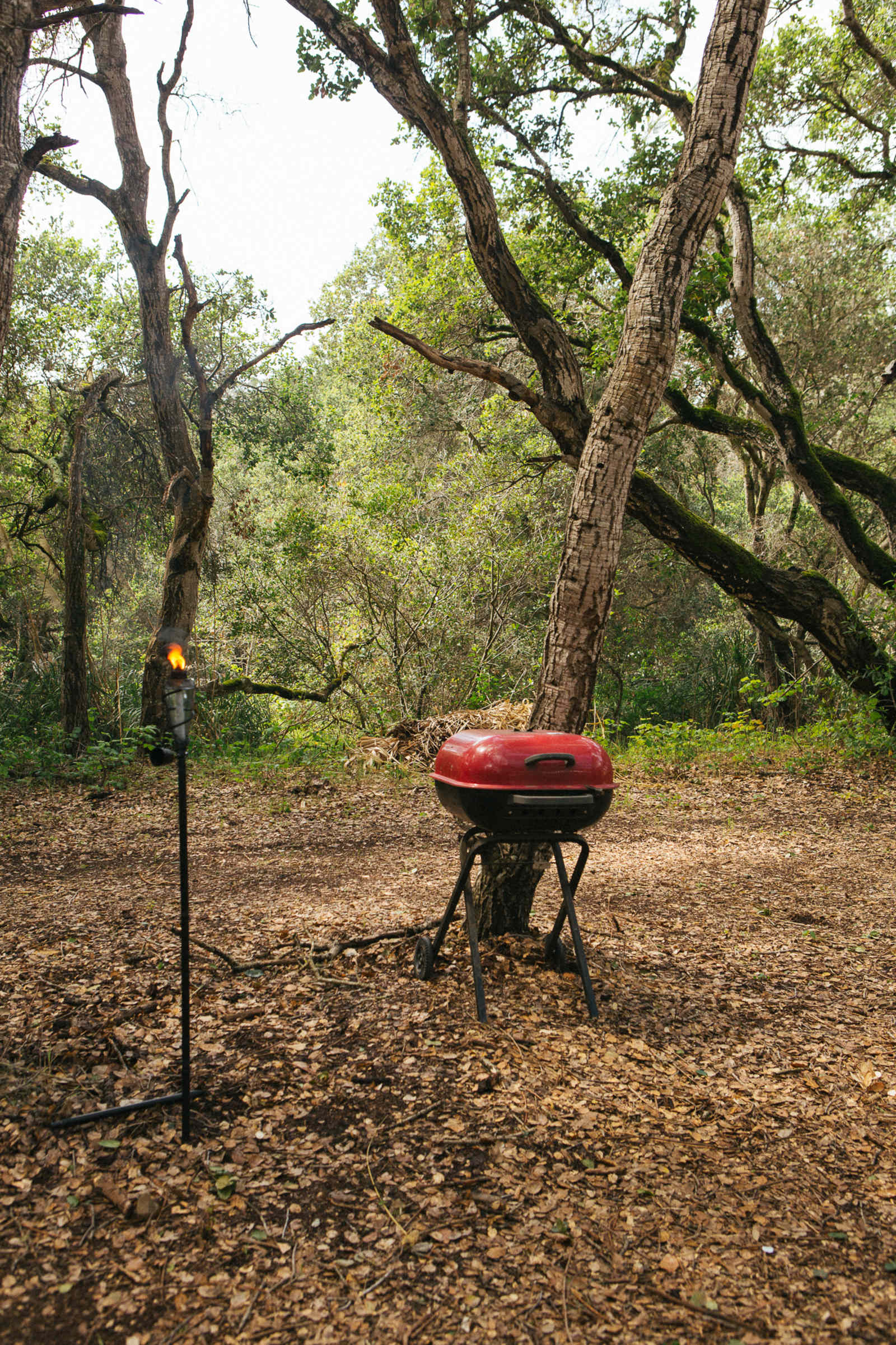 Grey Oaks 2 - Aromas, California - glamping.directory