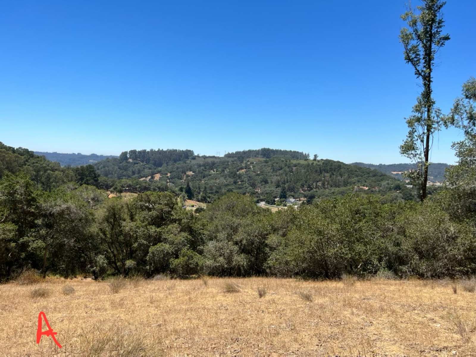 Grey Oaks 2 - Aromas, California - glamping.directory