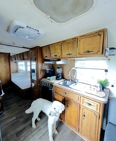 Cute Vintage Caravan for a Peaceful Escape in Niwot, Colorado - Niwot , Colorado - glamping.directory