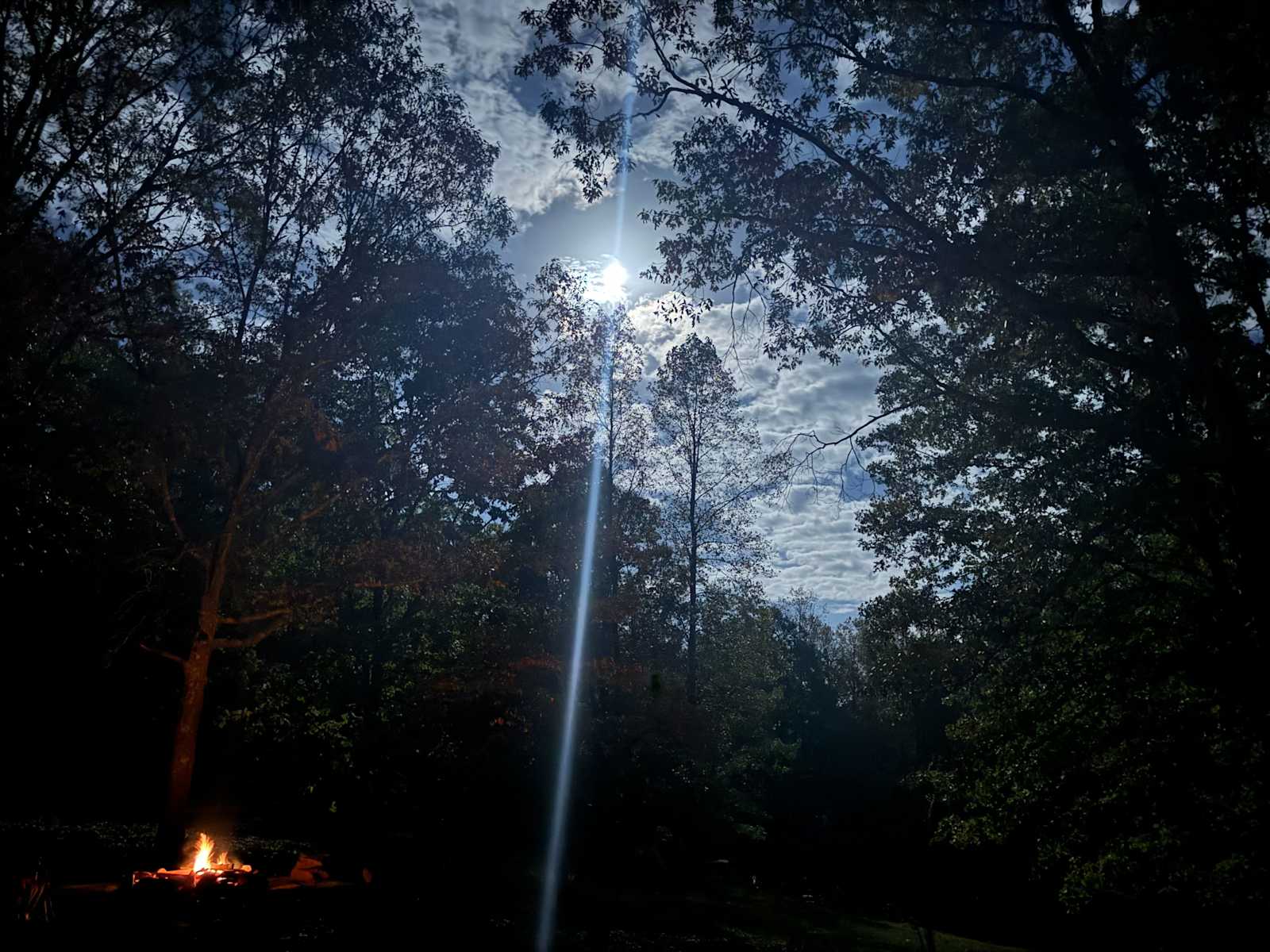 Hidden Branch Campground - Ashland, Alabama - glamping.directory