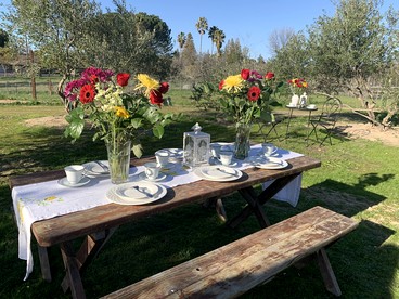 Cozy Rustic Cabin on a Working Horse Ranch for a Unique Getaway in Granite Bay, California - Granite Bay, California - glamping.directory
