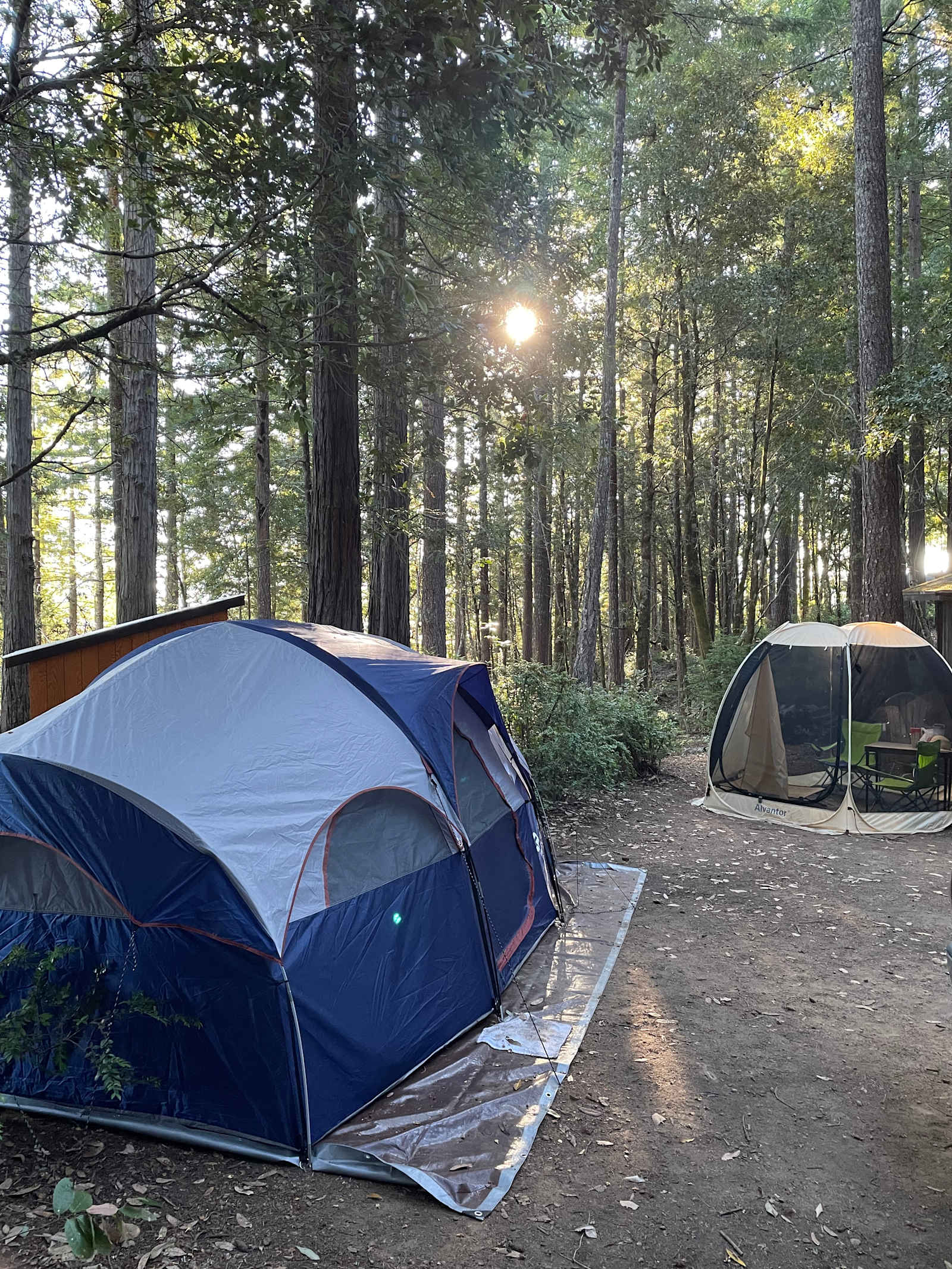 Pickle Barrel Cabin and Camp - Anchor Bay, California - glamping.directory