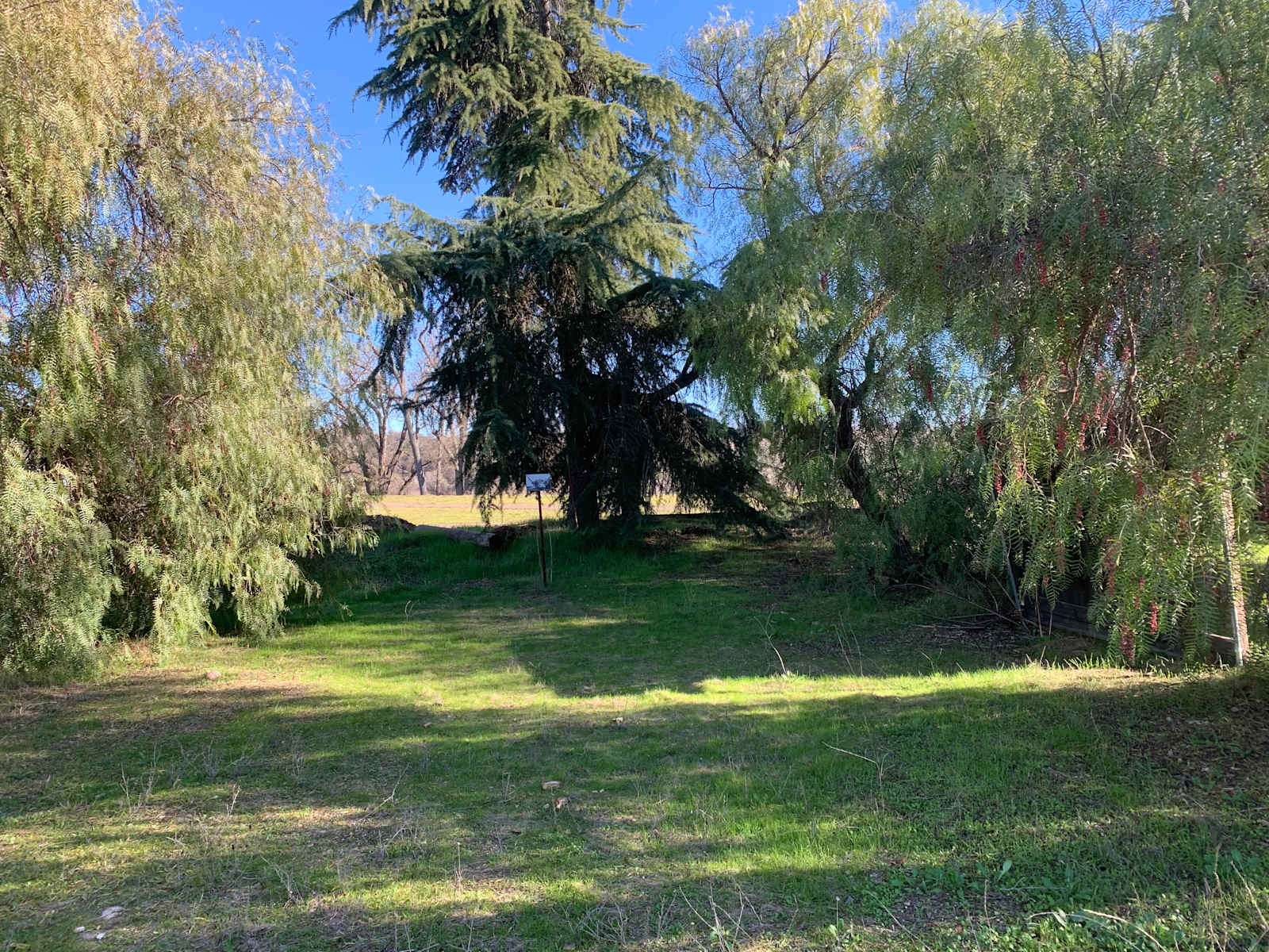 Pepper Tree Grove - glamping.directory