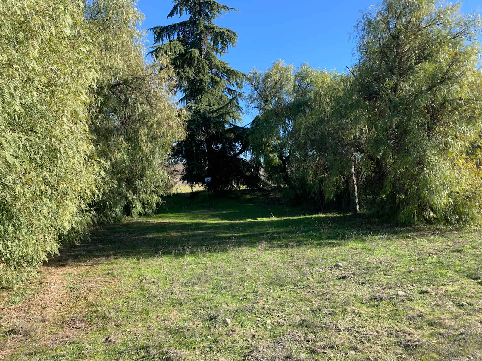 Pepper Tree Grove - Templeton, California - glamping.directory