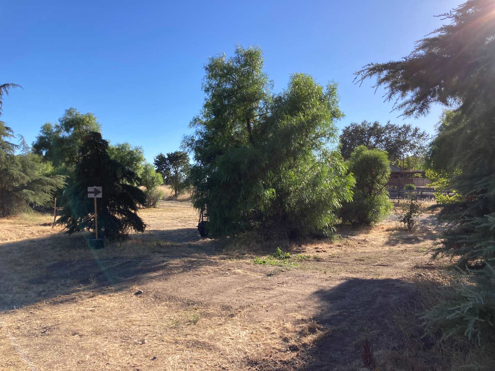 Pepper Tree Grove - Templeton, California - glamping.directory