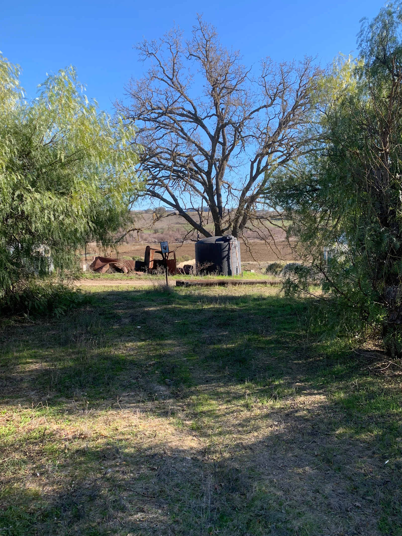 Pepper Tree Grove - Templeton, California - glamping.directory