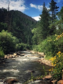 Cozy Rustic Cabin with Riverside Patio on the Pecos River – Pecos, New Mexico - San Miguel County, New Mexico - glamping.directory