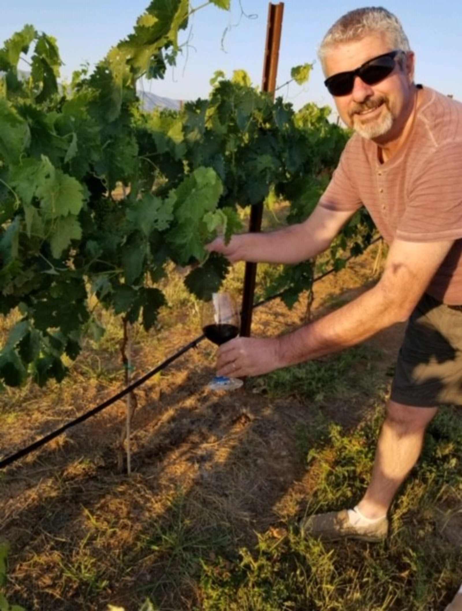 Birds and Barrels Vineyards - Willcox, Arizona - glamping.directory