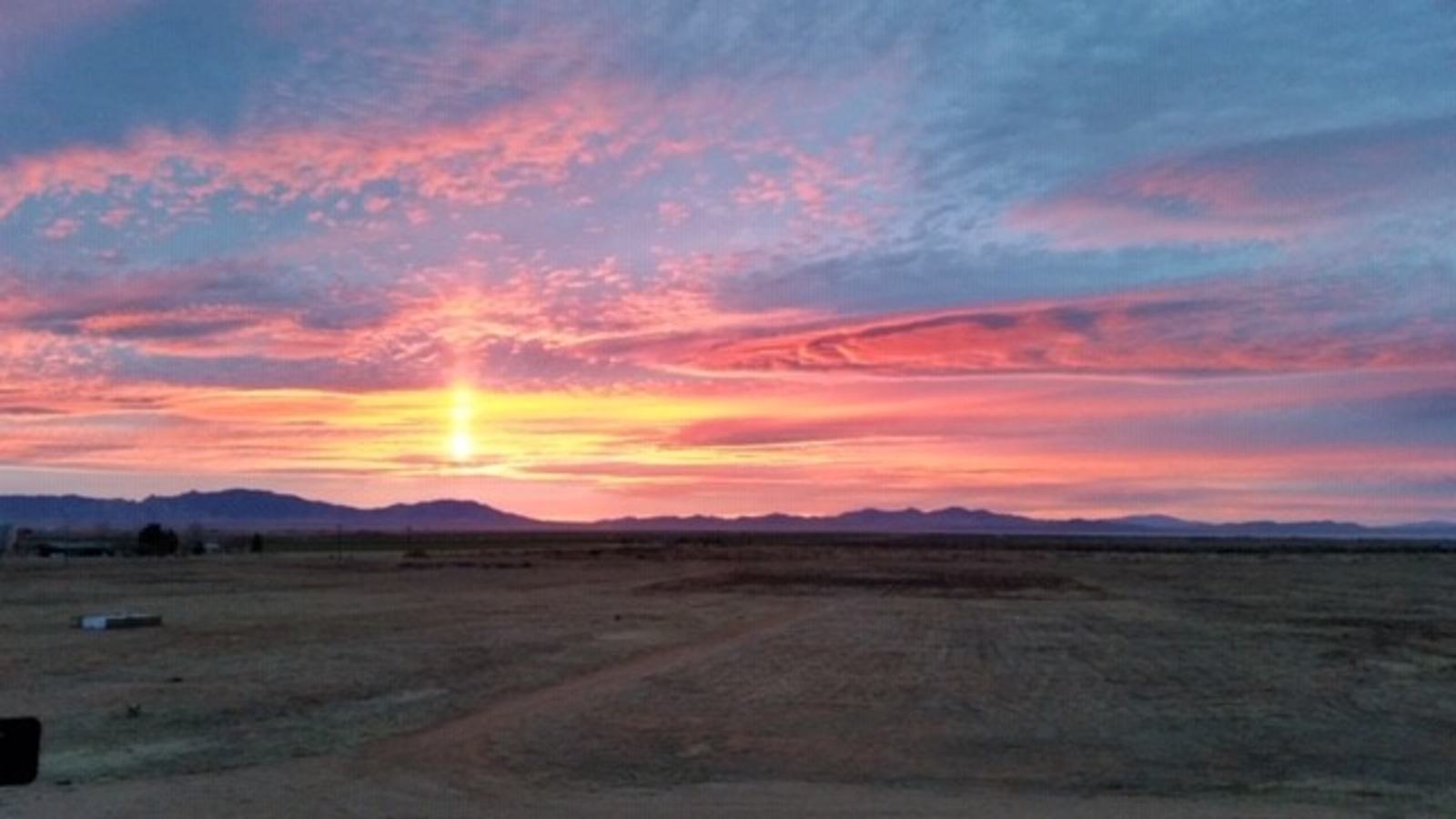 Birds and Barrels Vineyards - glamping.directory