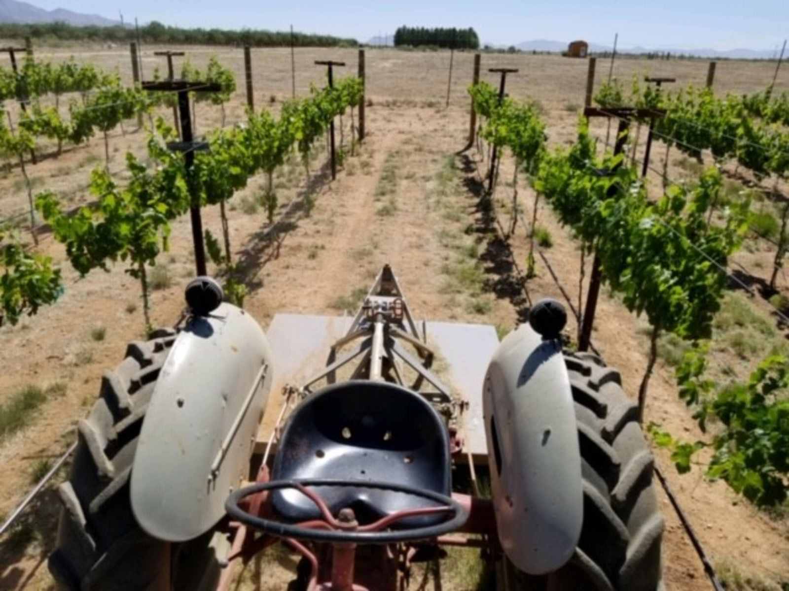 Birds and Barrels Vineyards - Willcox, Arizona - glamping.directory