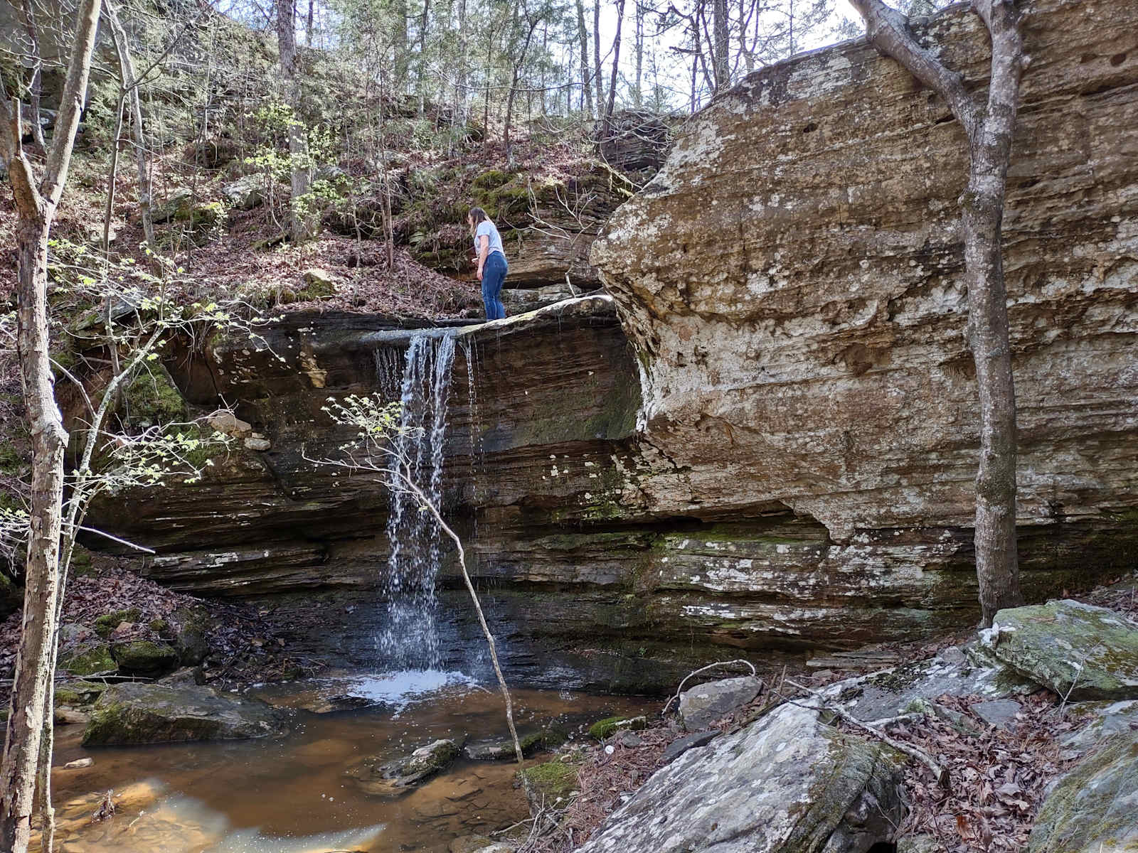 Spring Holler Farm - glamping.directory