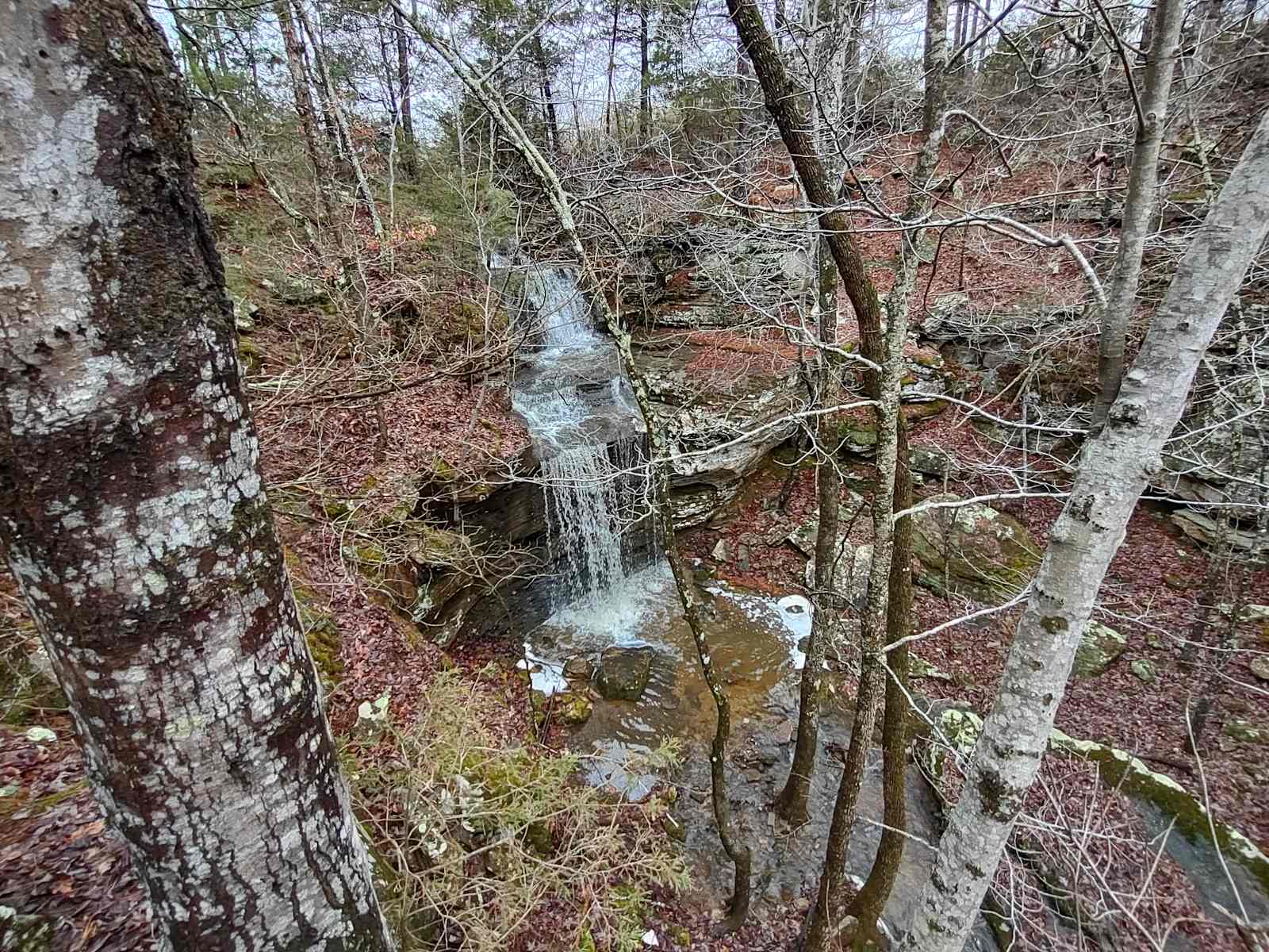 Spring Holler Farm - Calico Rock, Arkansas - glamping.directory
