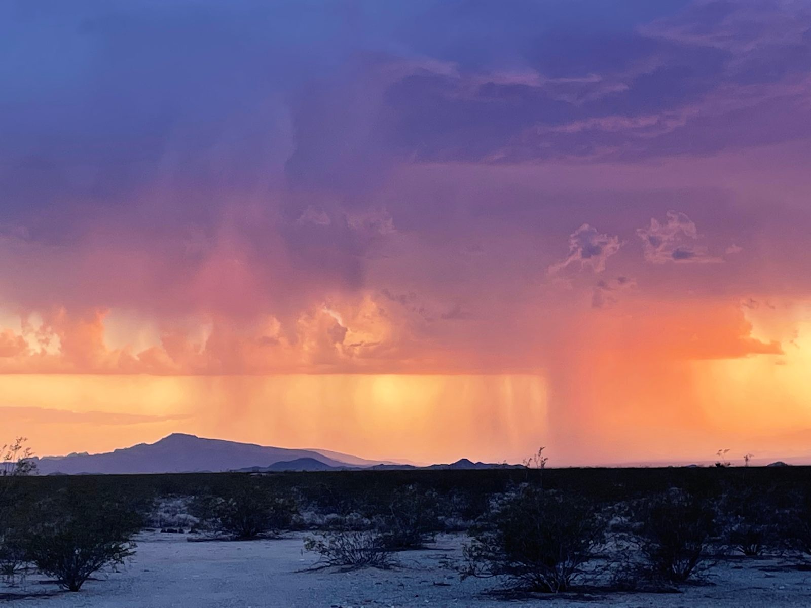 Mojave Desert Heritage & Cultural - California - glamping.directory