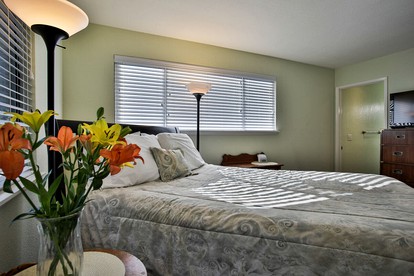 Pet-Friendly Cabin Rental with Hot Tub and Private Dock for Glamping in Northern California - Guerneville, California - glamping.directory