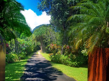 Elevated Riverfront Cabin with Hot Tub and Lanai on Kauai, Hawaii - Hanalei, Hawaii - glamping.directory