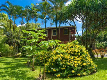 Elevated Riverfront Cabin with Hot Tub and Lanai on Kauai, Hawaii - Hanalei, Hawaii - glamping.directory