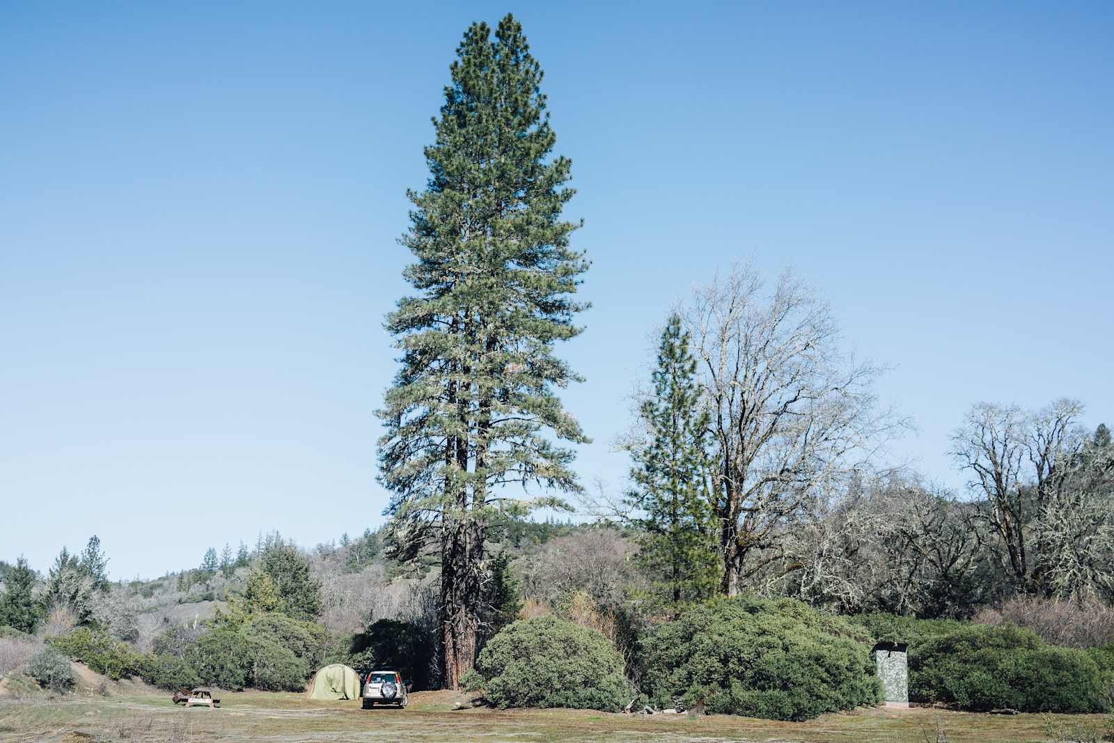 Lightworks ranch - Willits, California - glamping.directory