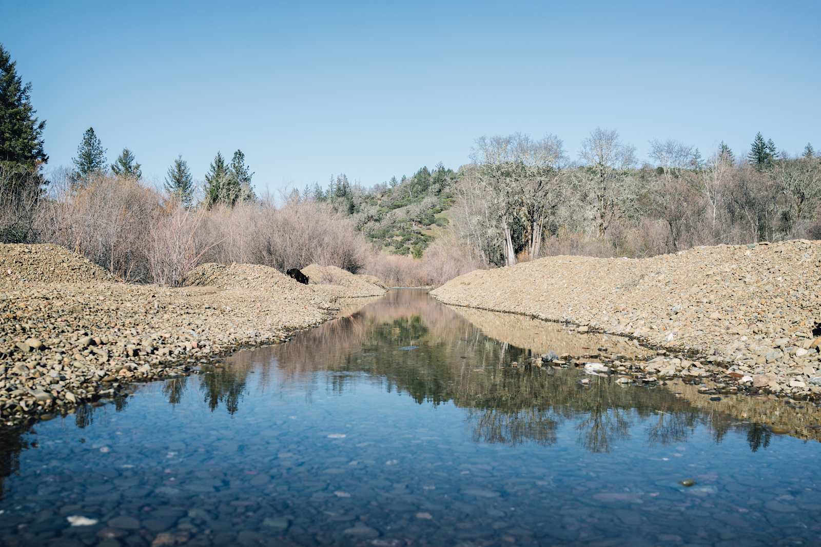 Lightworks ranch - Willits, California - glamping.directory