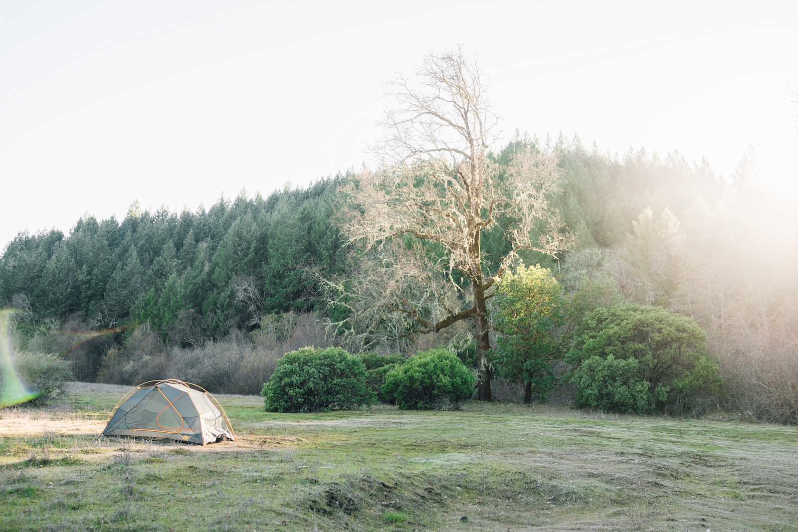 Lightworks ranch - glamping.directory